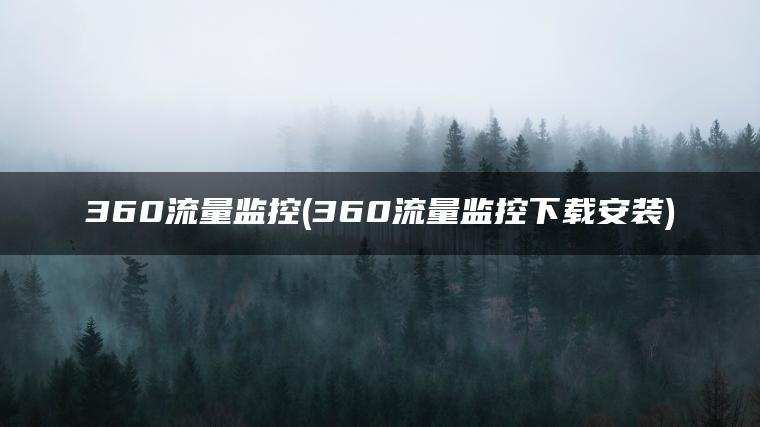360流量监控(360流量监控下载安装)