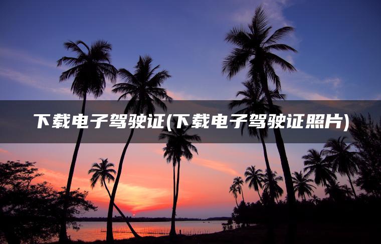下载电子驾驶证(下载电子驾驶证照片)