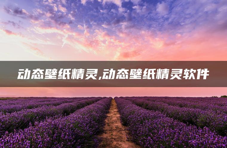 动态壁纸精灵,动态壁纸精灵软件