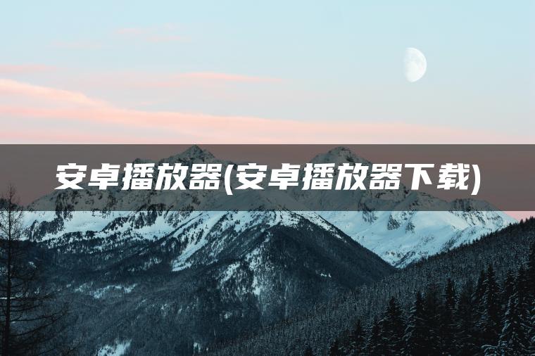 安卓播放器(安卓播放器下载)
