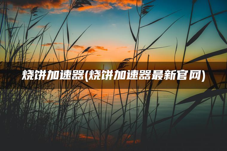 烧饼加速器(烧饼加速器最新官网)