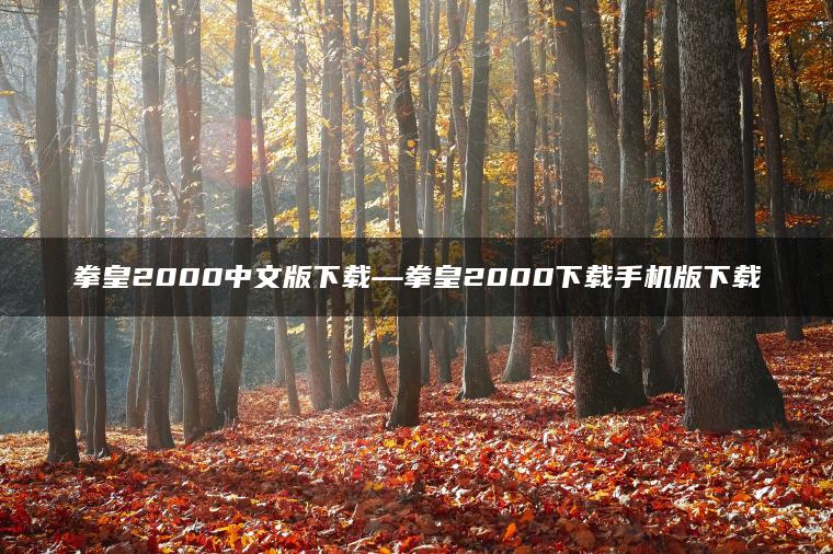 拳皇2000中文版下载—拳皇2000下载手机版下载