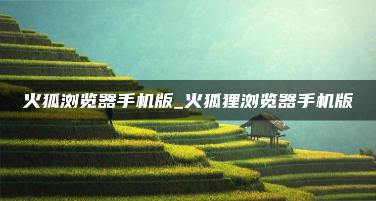 火狐浏览器手机版_火狐狸浏览器手机版