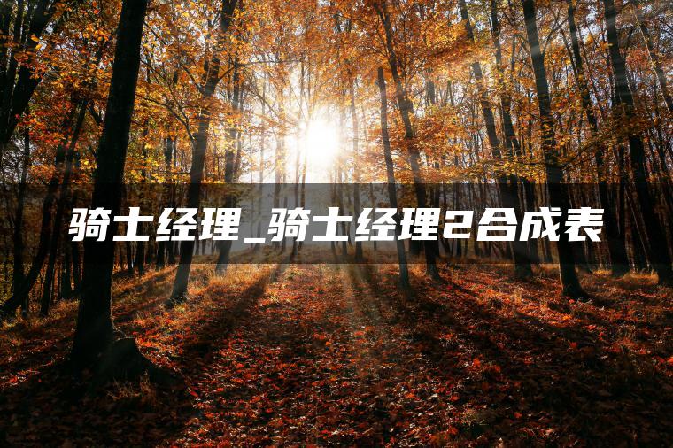 骑士经理_骑士经理2合成表