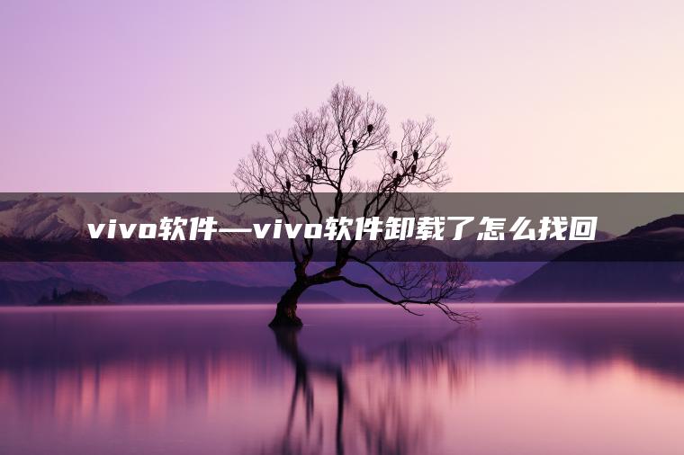 vivo软件—vivo软件卸载了怎么找回