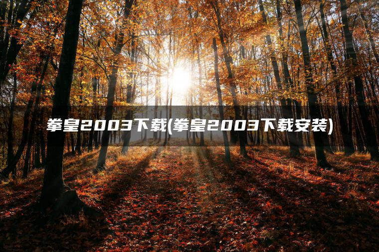 拳皇2003下载(拳皇2003下载安装)