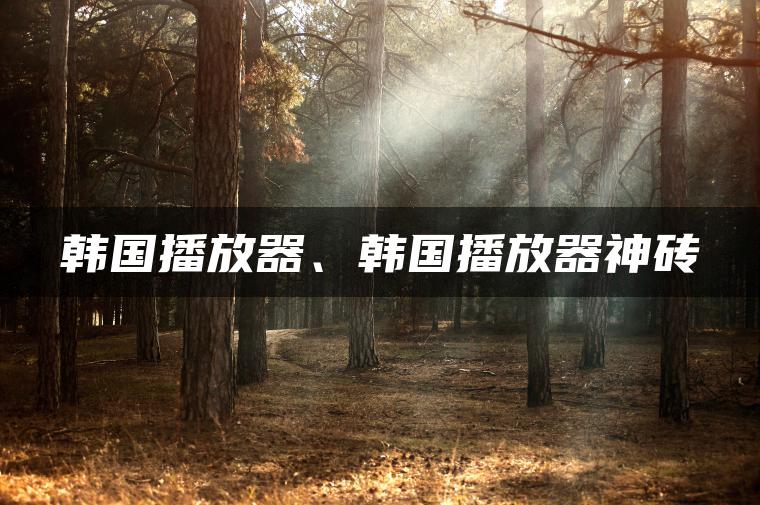 韩国播放器、韩国播放器神砖