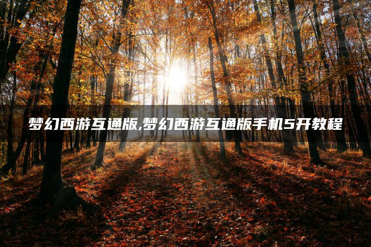 梦幻西游互通版,梦幻西游互通版手机5开教程