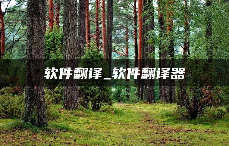 软件翻译_软件翻译器