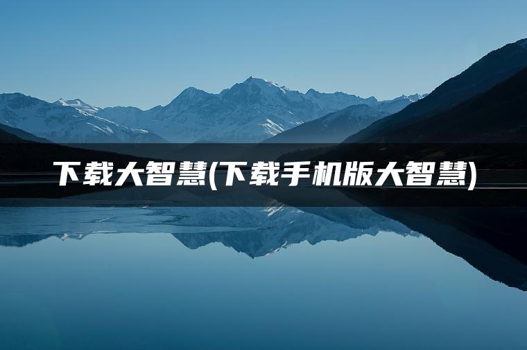 下载大智慧(下载手机版大智慧)