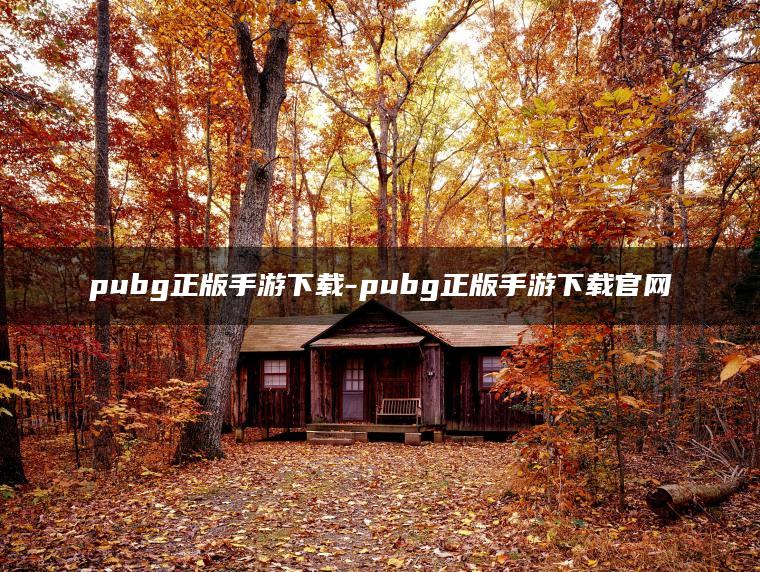 pubg正版手游下载-pubg正版手游下载官网