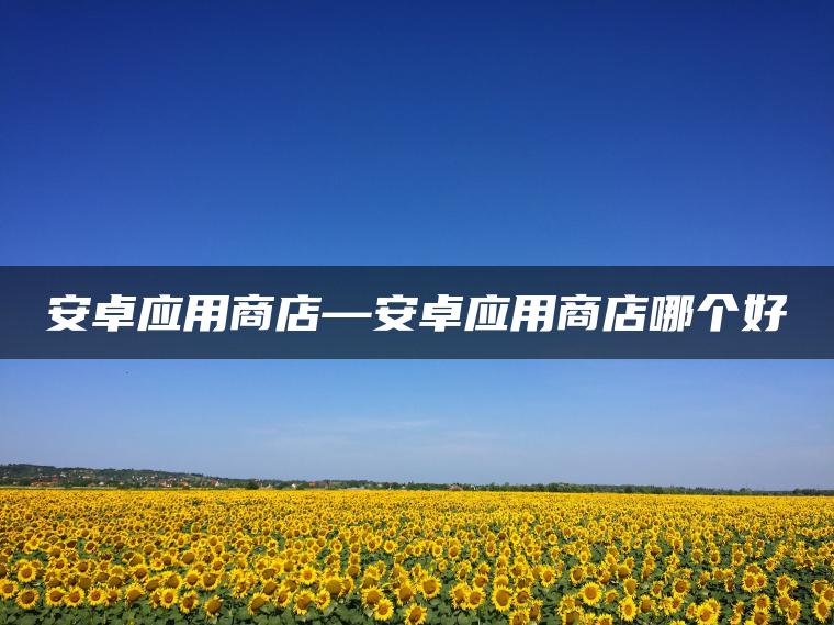 安卓应用商店—安卓应用商店哪个好