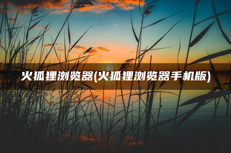 火狐狸浏览器(火狐狸浏览器手机版)