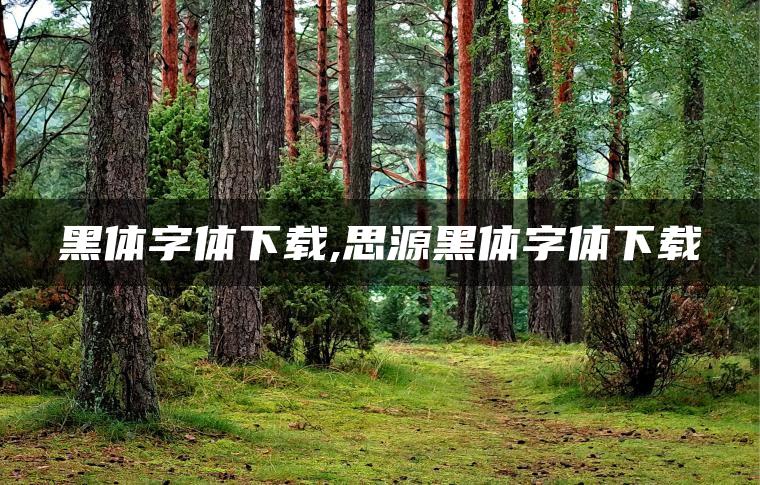黑体字体下载,思源黑体字体下载