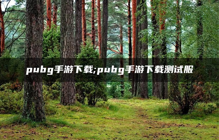 pubg手游下载;pubg手游下载测试服