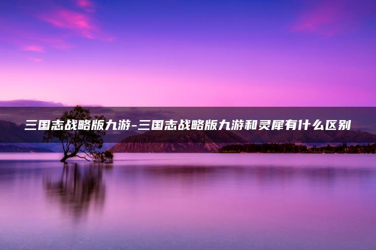 三国志战略版九游-三国志战略版九游和灵犀有什么区别