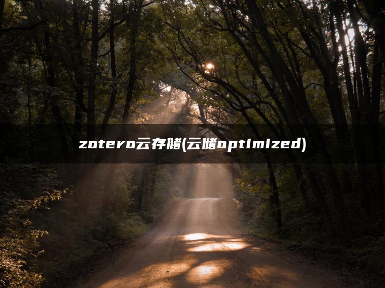 zotero云存储(云储optimized)