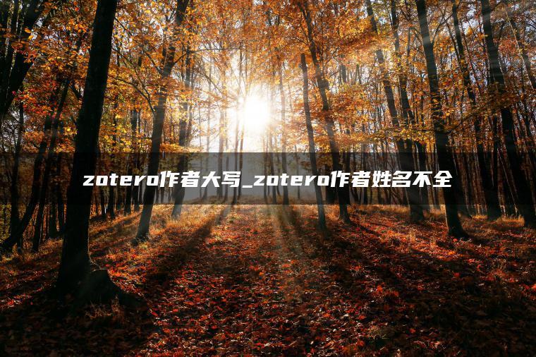 zotero作者大写_zotero作者姓名不全