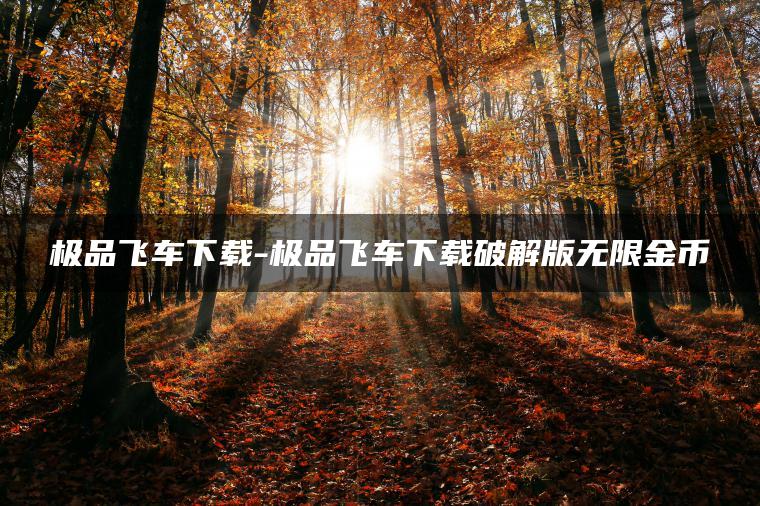 极品飞车下载-极品飞车下载破解版无限金币