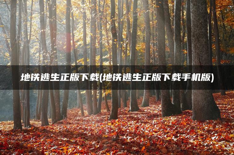 地铁逃生正版下载(地铁逃生正版下载手机版)