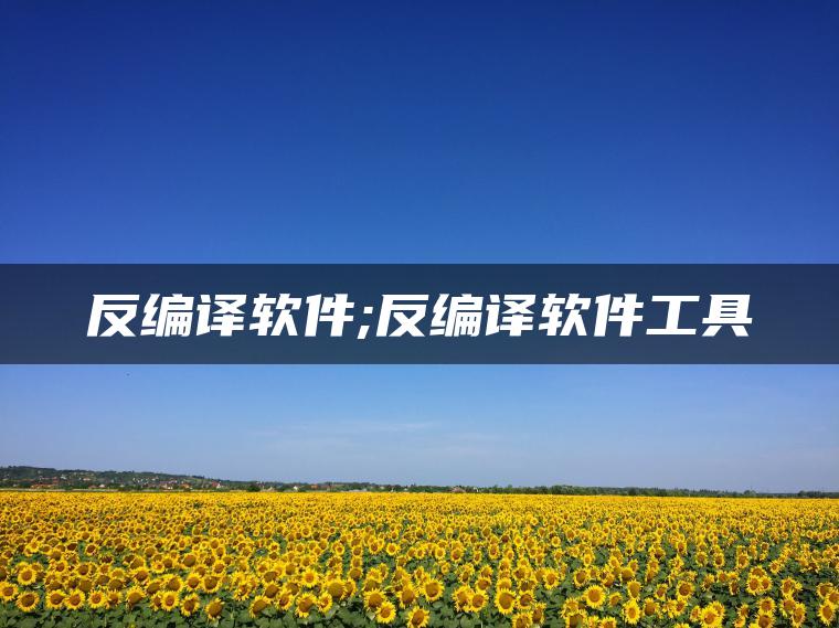 反编译软件;反编译软件工具