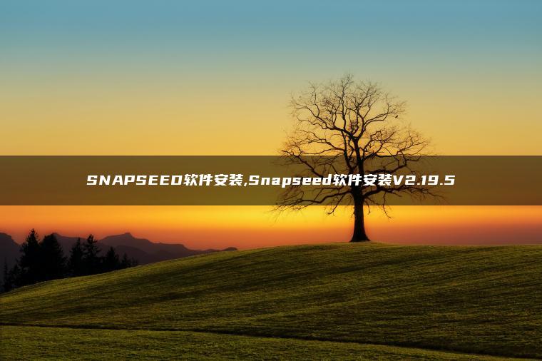 SNAPSEED软件安装,Snapseed软件安装V2.19.5
