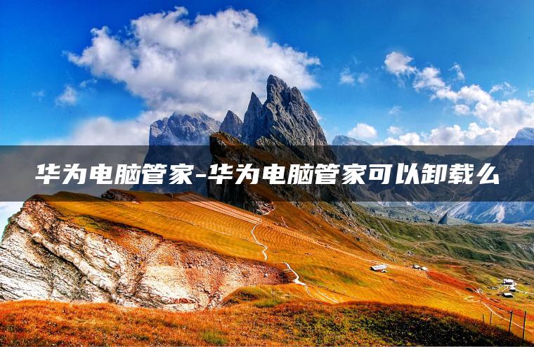 华为电脑管家-华为电脑管家可以卸载么