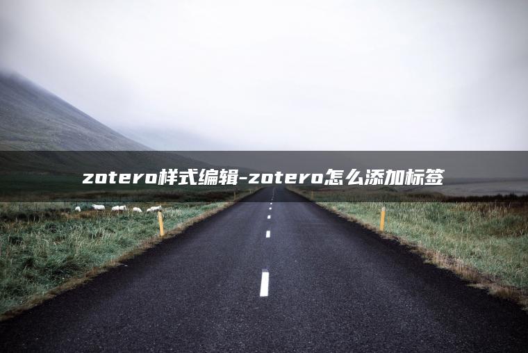 zotero样式编辑-zotero怎么添加标签