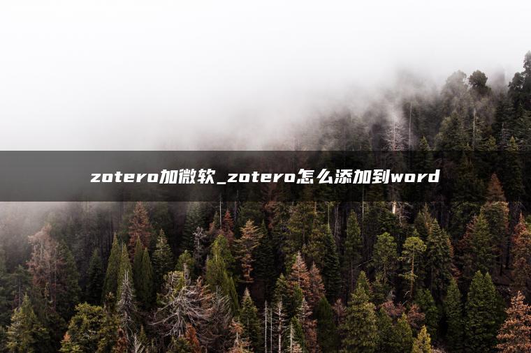 zotero加微软_zotero怎么添加到word