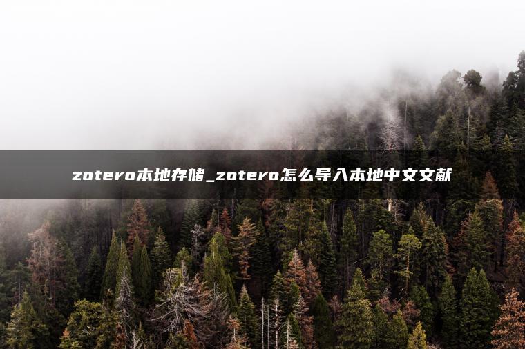 zotero本地存储_zotero怎么导入本地中文文献