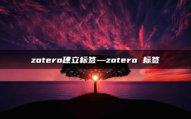 zotero建立标签—zotero 标签