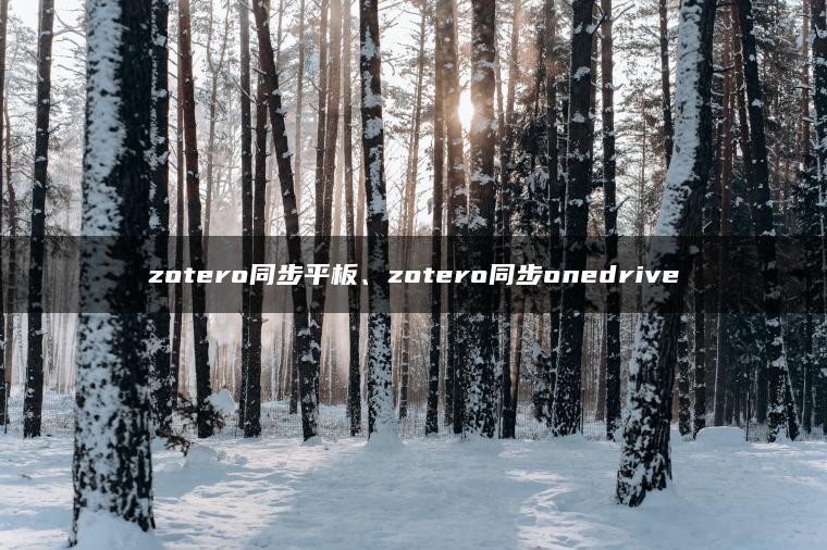 zotero同步平板、zotero同步onedrive