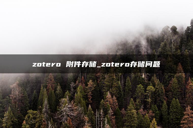zotero 附件存储_zotero存储问题