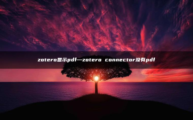 zotero显示pdf—zotero connector没有pdf