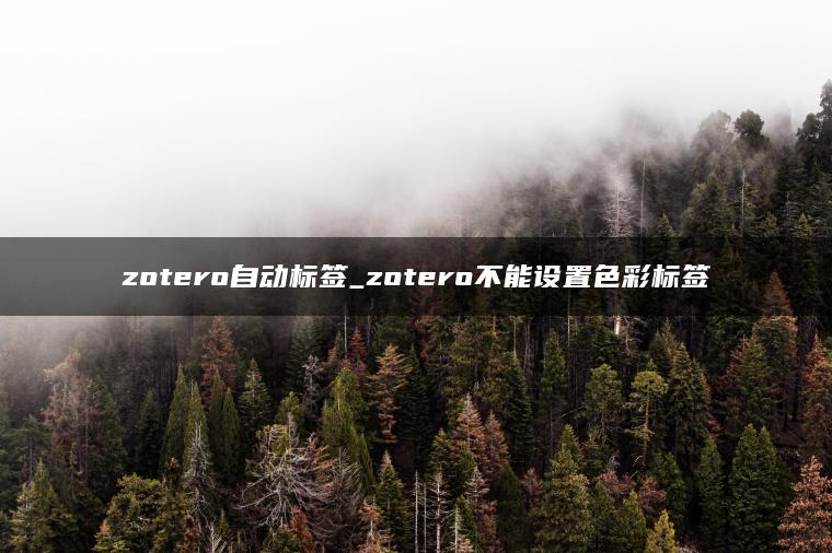 zotero自动标签_zotero不能设置色彩标签