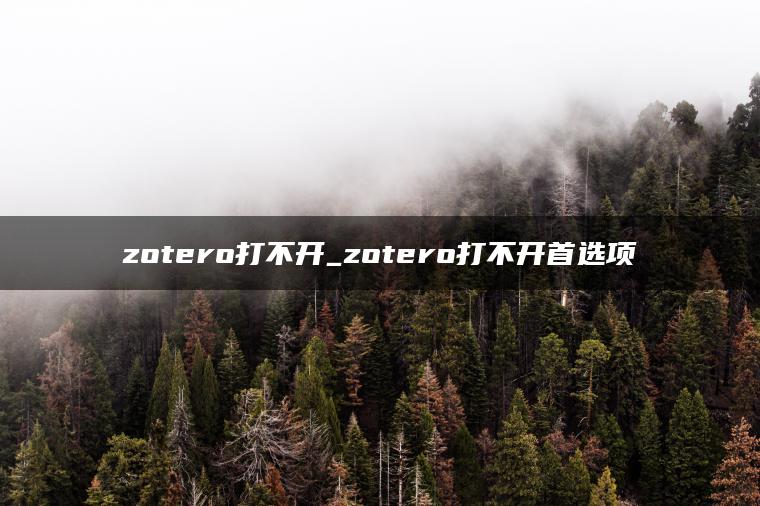 zotero打不开_zotero打不开首选项
