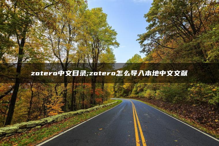 zotero中文目录;zotero怎么导入本地中文文献