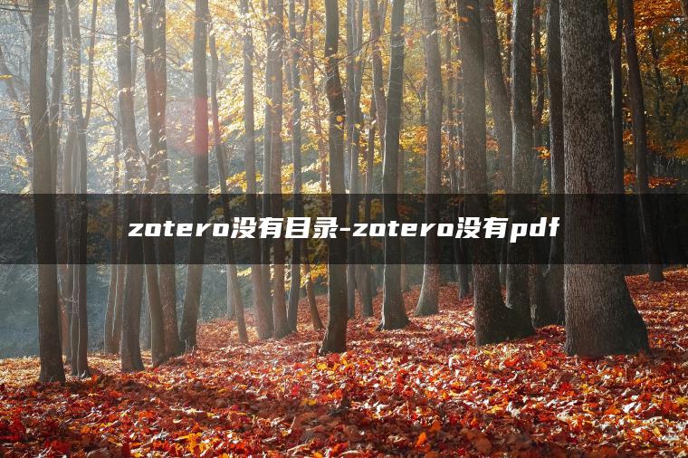 zotero没有目录-zotero没有pdf