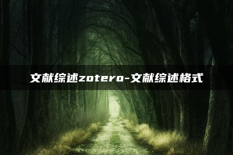 文献综述zotero-文献综述格式