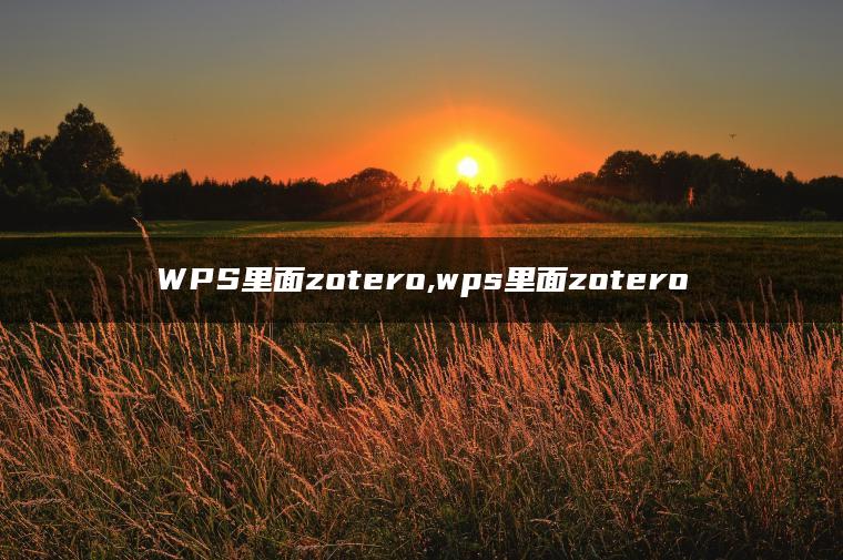 WPS里面zotero,wps里面zotero