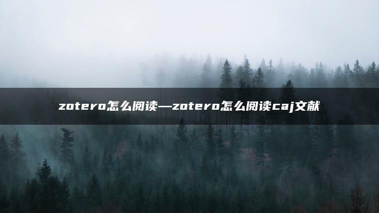 zotero怎么阅读—zotero怎么阅读caj文献
