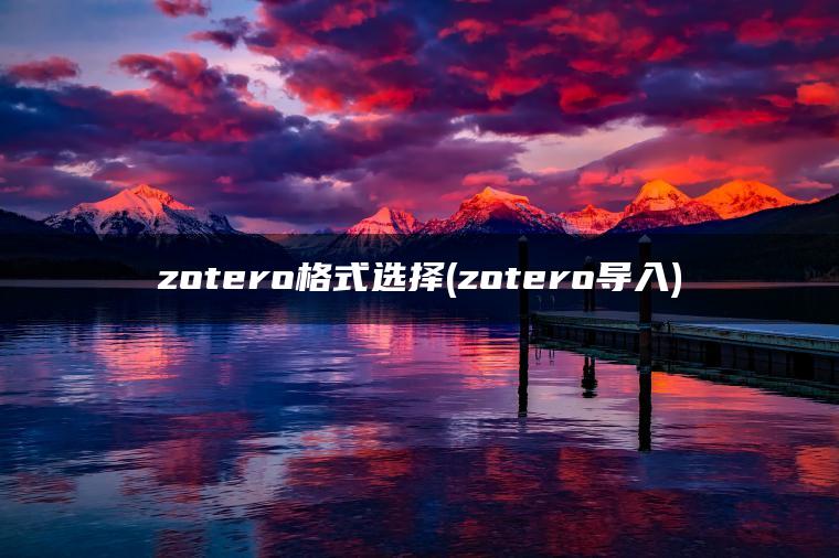 zotero格式选择(zotero导入)