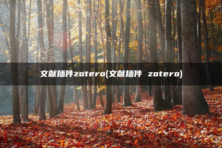 文献插件zotero(文献插件 zotero)