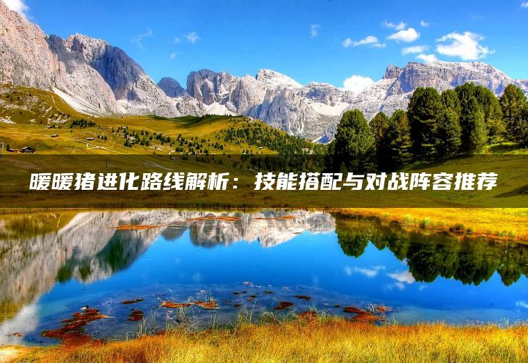 暖暖猪进化路线解析：技能搭配与对战阵容推荐