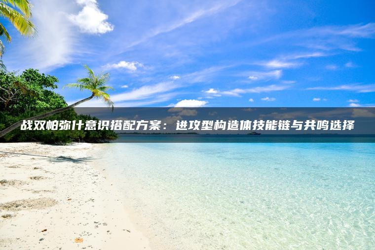 战双帕弥什意识搭配方案：进攻型构造体技能链与共鸣选择