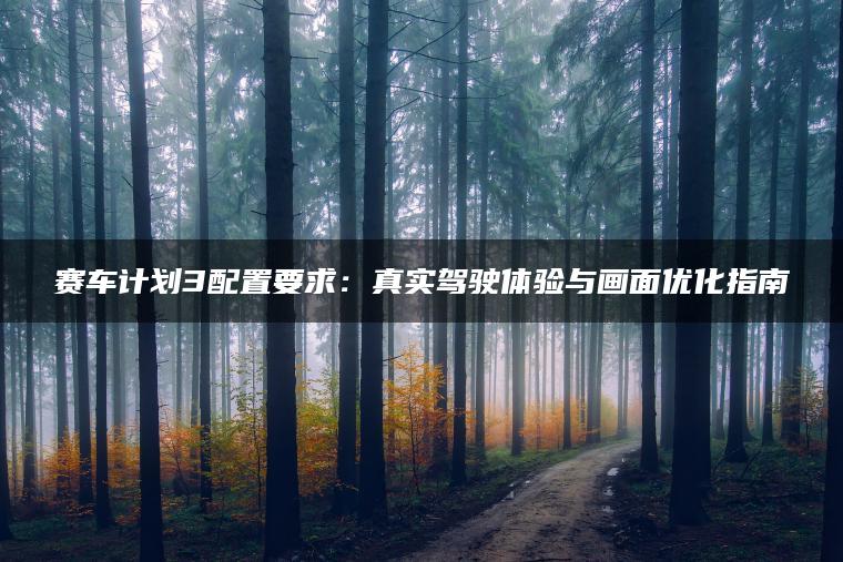 赛车计划3配置要求：真实驾驶体验与画面优化指南