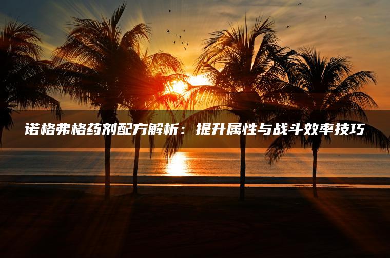 诺格弗格药剂配方解析：提升属性与战斗效率技巧