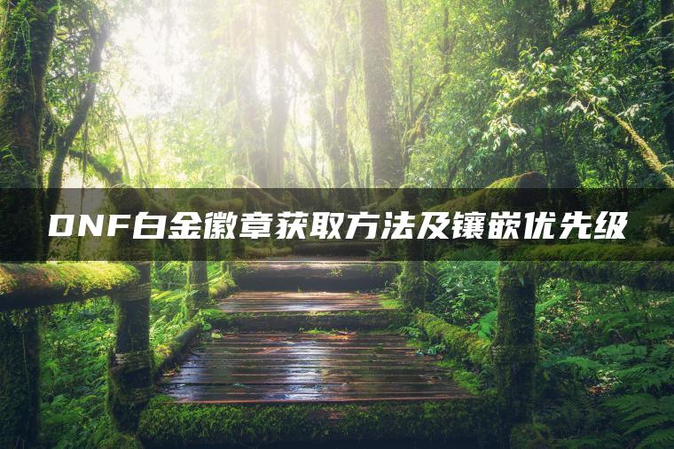 DNF白金徽章获取方法及镶嵌优先级
