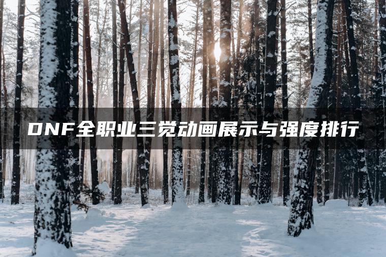 DNF全职业三觉动画展示与强度排行