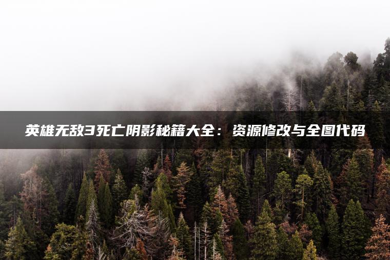 英雄无敌3死亡阴影秘籍大全：资源修改与全图代码